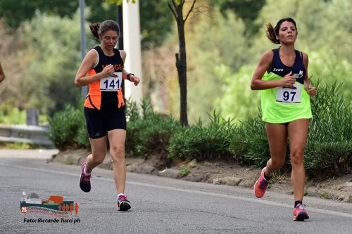 MAT 8815 copia