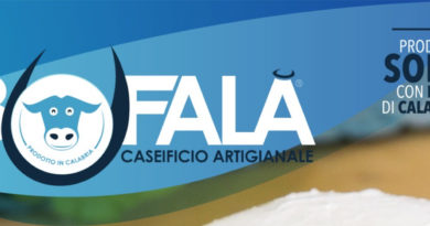 Offerta Caseificio Artigianale Bufalà – Acri (CS)