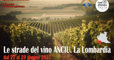 Le strade del vino ANCIU: Lombardia e Oltrepò Pavese – 27/29 giugno 2025 Le strade del vino ANCIU: Lombardia e Oltrepò Pavese – 27/29 giugno 2025